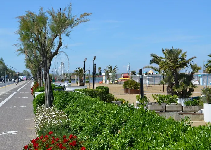 Appealing In With Near Centre