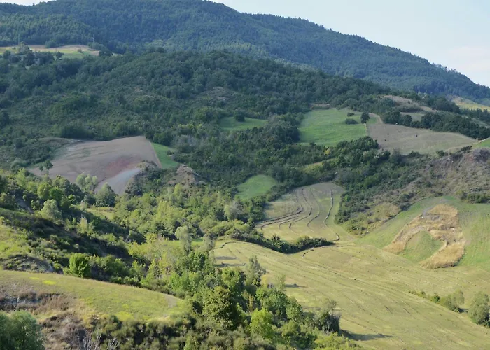 Appealing In With Near Centre