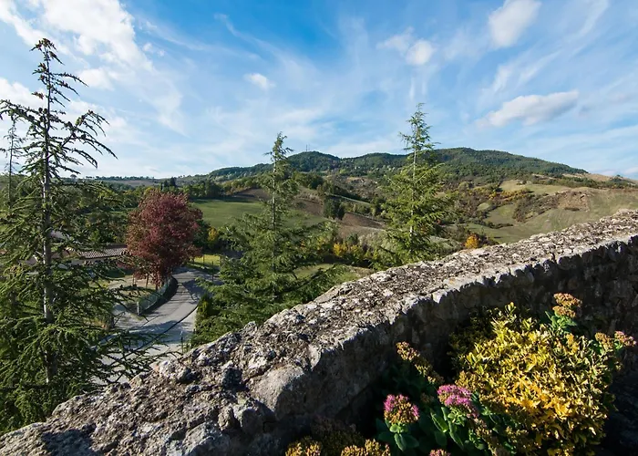 Appealing In With Near Centre