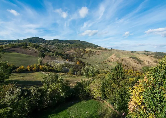 Appealing In With Near Centre